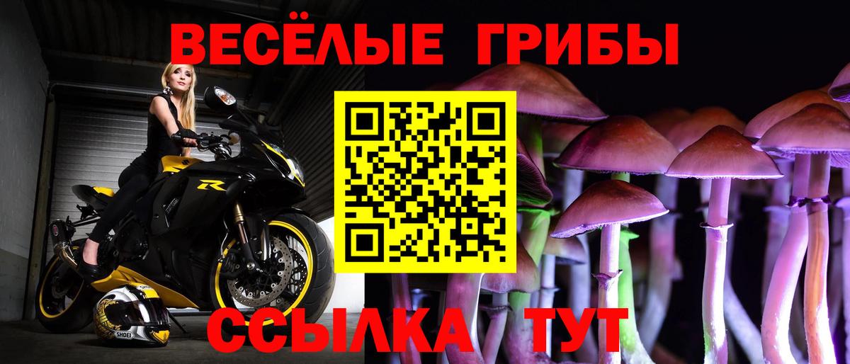 Урюпинск  Галлюциногенные грибы Psilocybine cubensis  Вход с VPN 